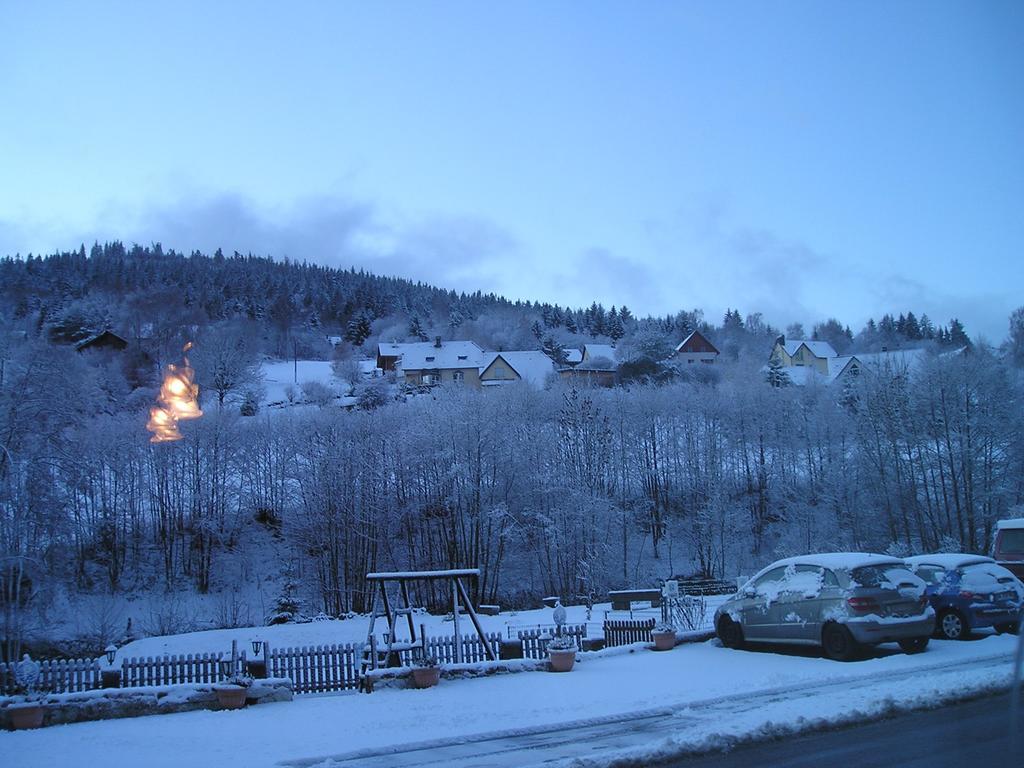 Logis Hotel Restaurant La Tete Des Faux Le Bonhomme Exterior photo